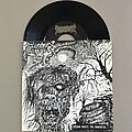 Purtenance - Tape / Vinyl / CD / Recording etc - Purtenance - crown waits the immortal 7”