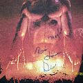 Dio - TShirt or Longsleeve - autographed