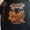 Ravager - TShirt or Longsleeve - Ravager - Storm of Sin longsleeve