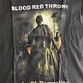 Blood Red Throne - TShirt or Longsleeve - Souls of damnation