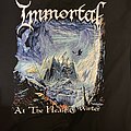 Immortal - TShirt or Longsleeve - Immortal At the heart of winter