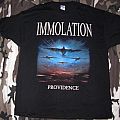 Immolation - TShirt or Longsleeve - Immolation - Providence - T-Shirt