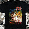 Morbid Angel - TShirt or Longsleeve - Morbid Angel - Blessed Are The Sick 2011 - Tour