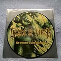 Cradle Of Filth - Tape / Vinyl / CD / Recording etc - Cradle Of Filth - The Principle Of Evil Made Flesh PIC LP