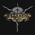 Testament - Patch - Testament - Yellow Logo [Backshape, Felt, Embroidered]