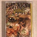 Vomitoma - Tape / Vinyl / CD / Recording etc - Vomitoma - Dead Meat Hooked To A Car Battery tape
