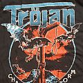 Tröjan - TShirt or Longsleeve - Tröjan Chasing The Storm Shirt