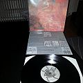 Morbid Angel - Tape / Vinyl / CD / Recording etc - Morbid Angel Blessed Are The Sick