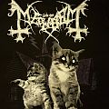 Meowhem - TShirt or Longsleeve - Meowhem - A Grand Declaration of Paws