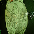 Tankard - Other Collectable - Space Beer Label(hand drawn)