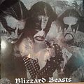 Immortal - Tape / Vinyl / CD / Recording etc - Immortal ‎– Blizzard Beasts Lp