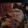Rotting Christ - Tape / Vinyl / CD / Recording etc - Rotting Christ ‎– A Dead Poem PicLP