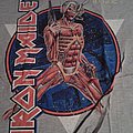 Iron Maiden - TShirt or Longsleeve - Iron Maiden Somewhere In Time T-Shirt