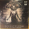 Septicflesh - Tape / Vinyl / CD / Recording etc - Septic Flesh ‎– A Fallen Temple  (2 Red LP)