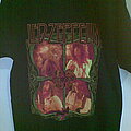 Led Zeppelin - TShirt or Longsleeve - led zep tees