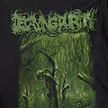 Decaying Purity - TShirt or Longsleeve - Decaying Purity