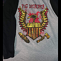 Pig Destroyer - TShirt or Longsleeve - Pig Destroyer raglan