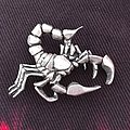 Scorpions - Pin / Badge - Scorpions pin