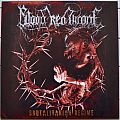 Blood Red Throne - Tape / Vinyl / CD / Recording etc - Blood Red Throne Brutalitarian Regime Original Orange/Black Splatter Vinyl