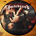 Hatebreed - Tape / Vinyl / CD / Recording etc - Hatebreed The Divinity Of Purpose Original Picture Disc Vinyl