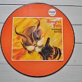 Mercyful Fate - Tape / Vinyl / CD / Recording etc - Mercyful Fate Dont Break The Oath Original Picture Disc Vinyl ltd. edt. nr.  50,...