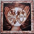 Walls Of Jericho - Tape / Vinyl / CD / Recording etc - Walls of jericho No One Can Save You From Yourself original vinyl