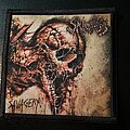 Skinless - Patch - Skinless patch 2021