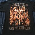 Immolation - TShirt or Longsleeve - Immolation - Close to a World Below