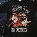 Immolation - TShirt or Longsleeve - Immolation - Dawn of Possession