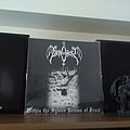 Demoncy - Tape / Vinyl / CD / Recording etc - Demoncy-within the sylvan realms of frost.