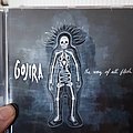 Gojira - Tape / Vinyl / CD / Recording etc - Gojira album