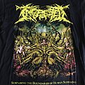 Ingested - TShirt or Longsleeve - Ingested "Surpassing The Boundaries of Human Suffering"