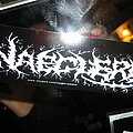 Naegleria - Other Collectable - Naegleria Sticker