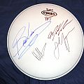 Y&amp;T - Other Collectable - Y & T Signed Drum Head