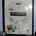 Testament - Other Collectable - Testament Drum Head