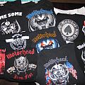Motörhead - TShirt or Longsleeve - Motörhead Shirt Collection 1999 - 2012