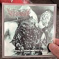 Vulvectomy - Tape / Vinyl / CD / Recording etc - Vulvectomy Syphilic Dismembered Slut promo