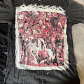 Carcass - TShirt or Longsleeve - Carcass symphonies of sickness