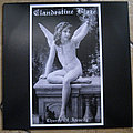 Clandestine Blaze - Tape / Vinyl / CD / Recording etc - CLANDESTINE BLAZE ‎– Church Of Atrocity (Black Vinyl)