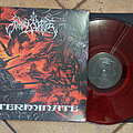 Angelcorpse - Tape / Vinyl / CD / Recording etc - ANGELCORPSE ‎– Exterminate (Red Marble Vinyl) Ltd. 250 Copies