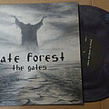 Hate Forest - Tape / Vinyl / CD / Recording etc - Hate Forest - The Gates (Violet Grey Vinyl)