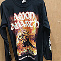 Amon Amarth - TShirt or Longsleeve - Amon Amarth - Surtur Rising (Long Sleeve)