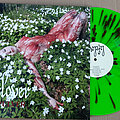 Lifelover - Tape / Vinyl / CD / Recording etc - LIFELOVER – Pulver (Neon Green Red Splatter Vinyl) Ltd. 400
