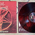 Vital Remains - Tape / Vinyl / CD / Recording etc - VITAL REMAINS ‎– Forever Underground (180g Transparent Red/Black Galaxy) 500