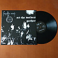 Forgotten Woods - Tape / Vinyl / CD / Recording etc - Forgotten Woods ‎– As The Wolves Gather (Black Vinyl)