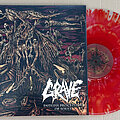 Grave - Tape / Vinyl / CD / Recording etc - GRAVE ‎– Endless Procession Of Souls (180g Cloudy Tran. Red Vinyl) Ltd 300