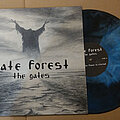 Hate Forest - Tape / Vinyl / CD / Recording etc - Hate Forest - The Gates (Black/Blue Marble Vinyl)
