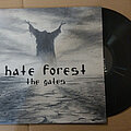 Hate Forest - Tape / Vinyl / CD / Recording etc - Hate Forest - The Gates (Black Vinyl)