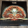 Cynic - Tape / Vinyl / CD / Recording etc - Cynic ‎– Kindly Bent To Free Us (Ltd. Black Vinyl)