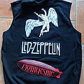 Led Zeppelin - Hooded Top / Sweater - Led Zeppelin The kings of hard rock !